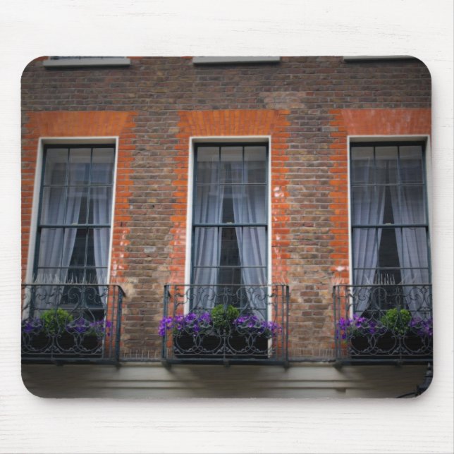 Springtime London Lavender Window Box Musmatta (Framsidan)