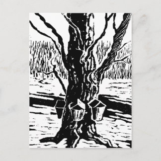 Springtime Magic Postcard Vykort