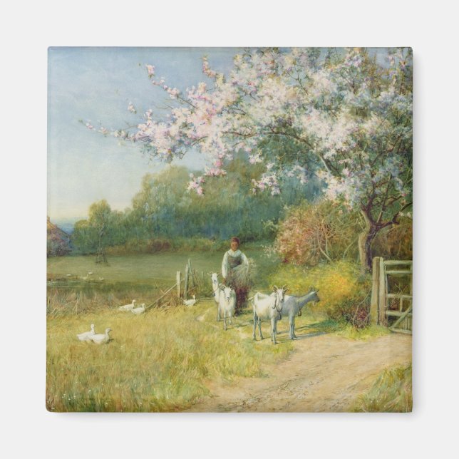 Springtime Magnet (Framsidan)