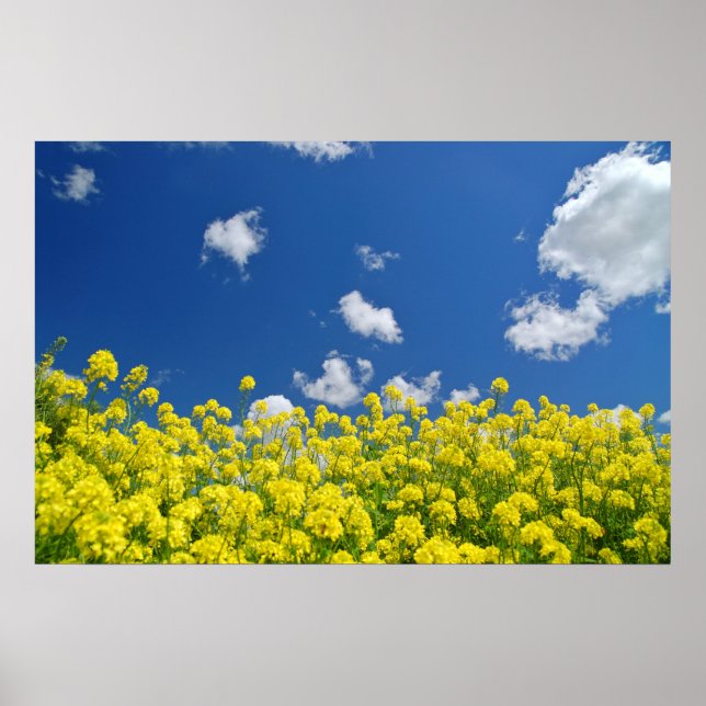 Springtime Meadow Poster (Framsidan)