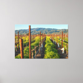 Springtime på en vingård canvastryck