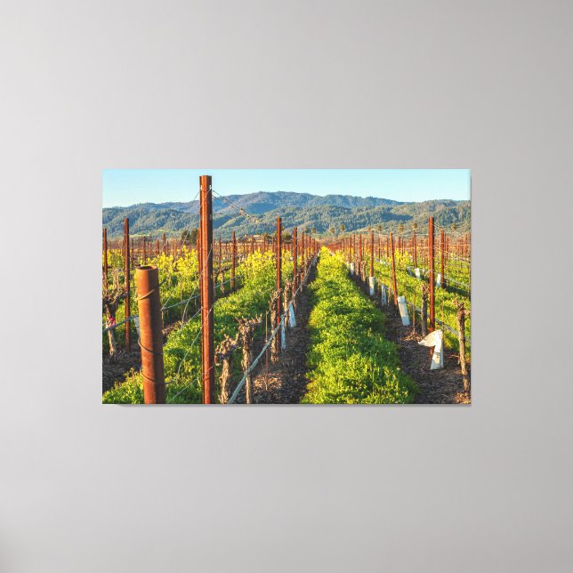 Springtime på en vingård canvastryck (Framsida)