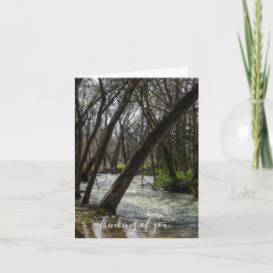 Springtime på Finley River Thinking Card Kort