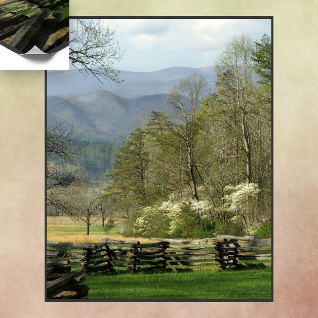 Springtime på John Oliver Cabin Poster (Skapare uppladdad)