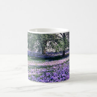 Springtime på Longwood trädgårdar Kaffemugg