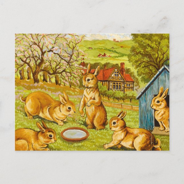 Springtime Rabbits av Louis Wain Vykort (Framsida)