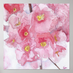 Springtime Rosa Cherry Blommars vattenfärg Poster