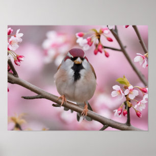 Springtime Serenity: Cute Sparrow Poster