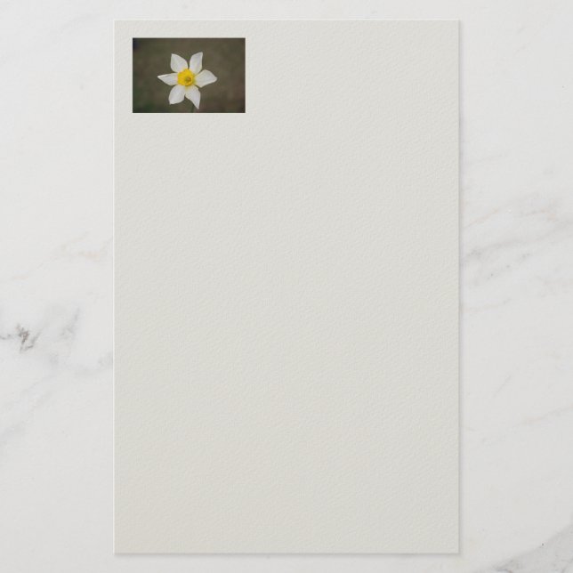 Springtime Stationery Brevpapper (Framsida)