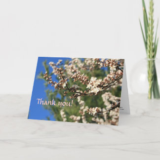 Springtime-Tack Tack Kort