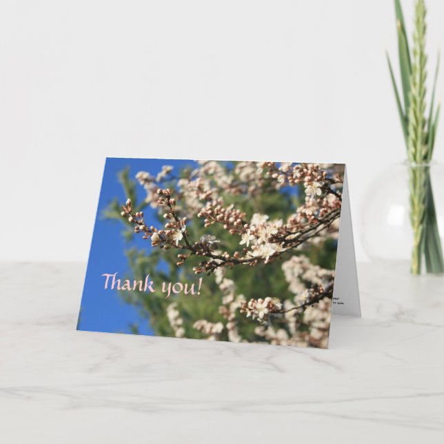 Springtime-Tack Tack Kort (Framsida)