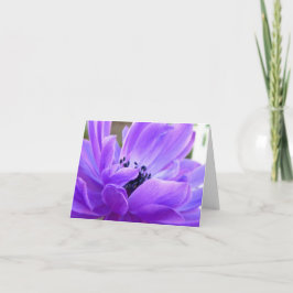 Springtime Violet Anemone Note Card Tack Kort