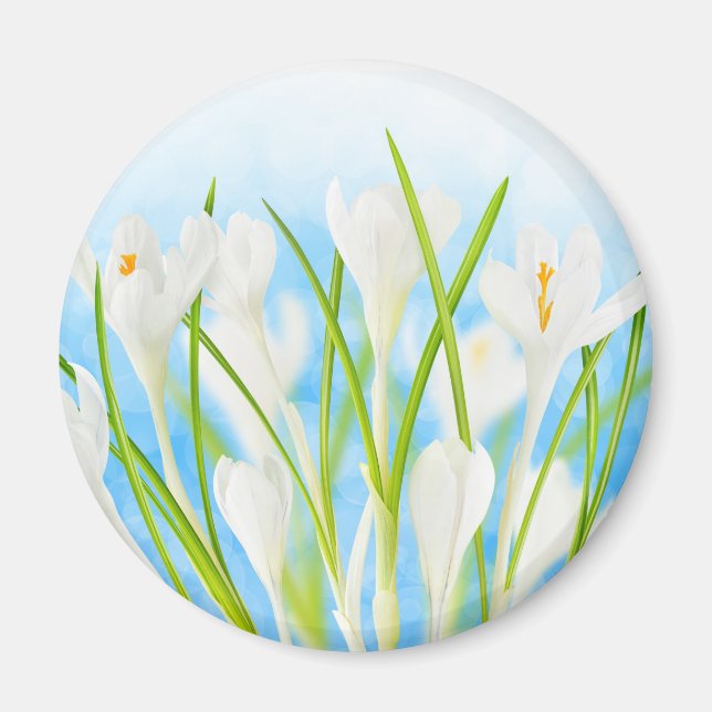 Springtime (vita skurkar) magnet (Framsidan)
