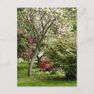 Springtime Vykort