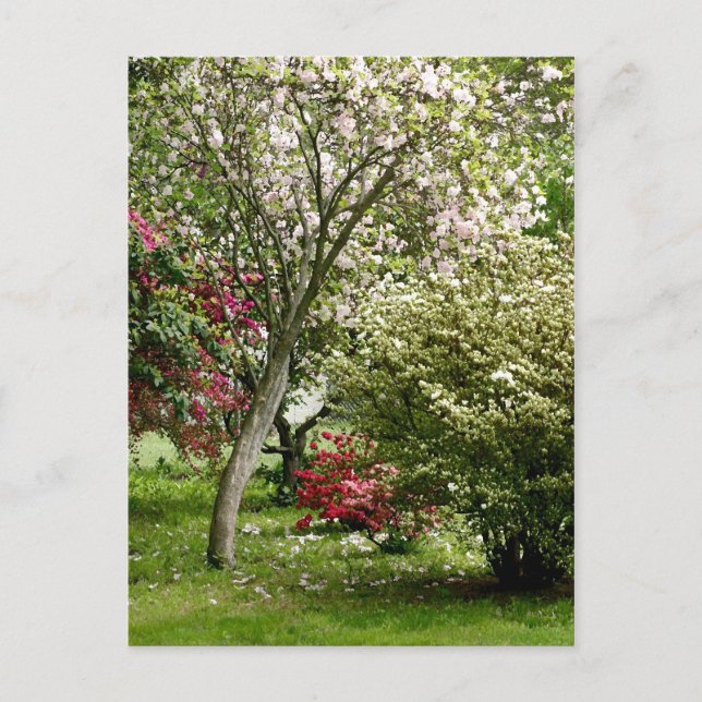 Springtime Vykort (Framsida)