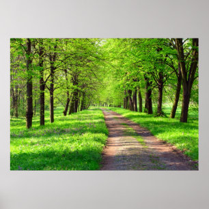 springtimeaveny poster