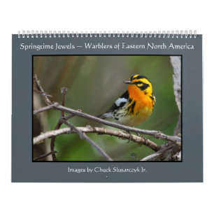 Springtimejuvlar - sångarekalender kalender