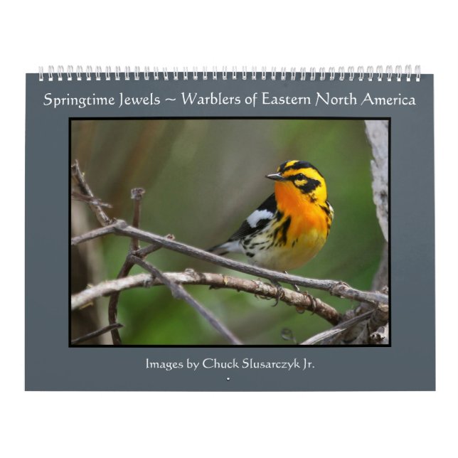 Springtimejuvlar - sångarekalender kalender (Omslag)