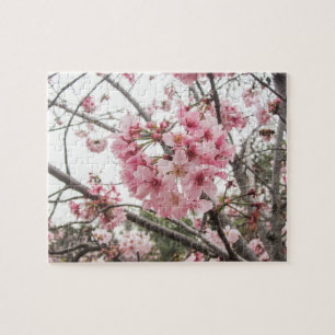Springtimekörsbärblommar - pussel