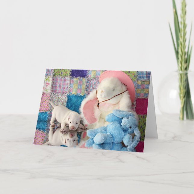 Springtimereflexion Kort (Framsida)