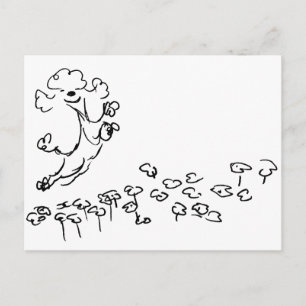 Springy Pudel Vykort