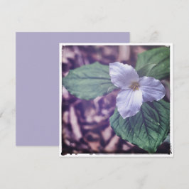 Sprint Trillium Autochrome-stil Anteckningskort