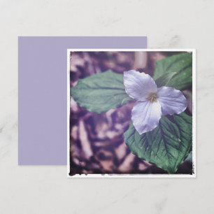 Sprint Trillium Autochrome-stil Anteckningskort