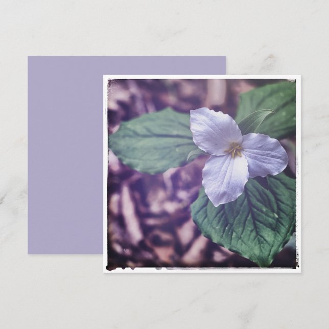 Sprint Trillium Autochrome-stil Anteckningskort (Fram/baksida)
