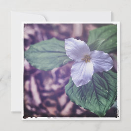 Sprint Trillium Autochrome Style Anteckningskort