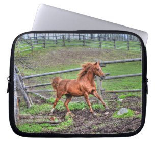 Sprit Dun Pony, Horse Running på Ranch Laptop Sleeve