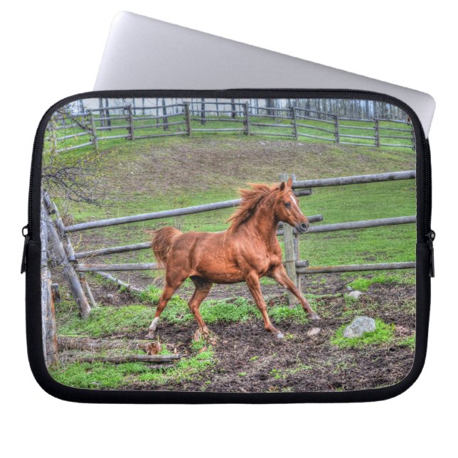 Sprit Dun Pony, Horse Running på Ranch Laptop Sleeve (Framsidan)
