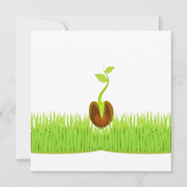 Sprout! Meddelande (Framsida)