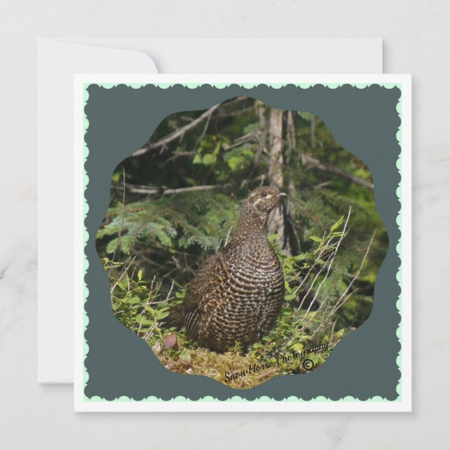 Spruce Grouse (Framsida)