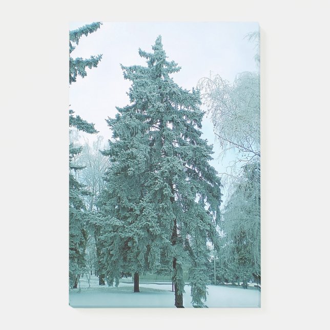 Spruce träd med is post-it block (Framsida)