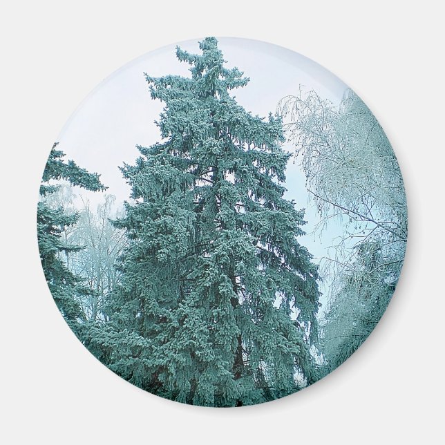 Spruce träd med snö magnet (Framsidan)