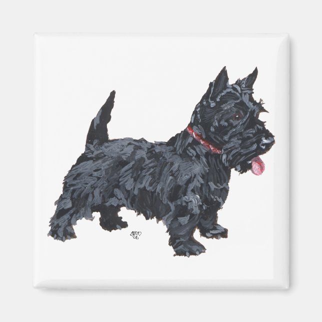 Spunky Scottie Hund Magnet (Framsidan)