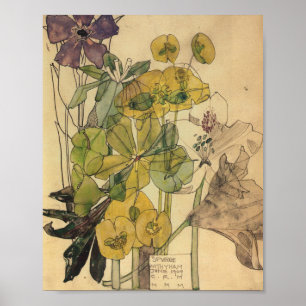 Spurge with Yham Flowers Charles Rennie Mackintosh Poster