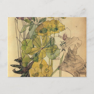 Spurge with Yham Flowers Charles Rennie Mackintosh Vykort