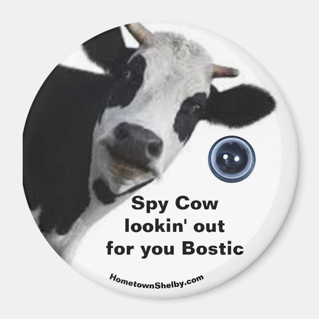 Spy Cow-sökning för din Bostic roligt magnet (Framsidan)