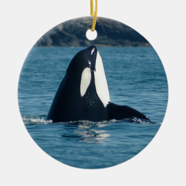 Spyhop prydnad julgransprydnad keramik (Framsidan)