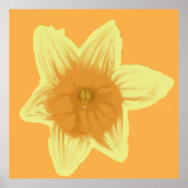 Square Daffodil Poster