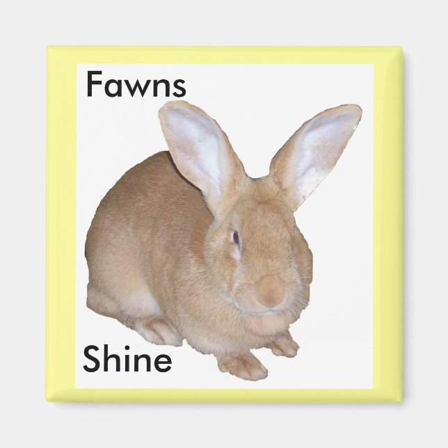 Square Fawn Flemish Giant Rabbit Magnet (Framsidan)