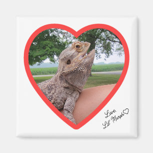 Square Lizard Kärlek Magnet
