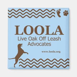 Square LOOLAorg Metall Magnet