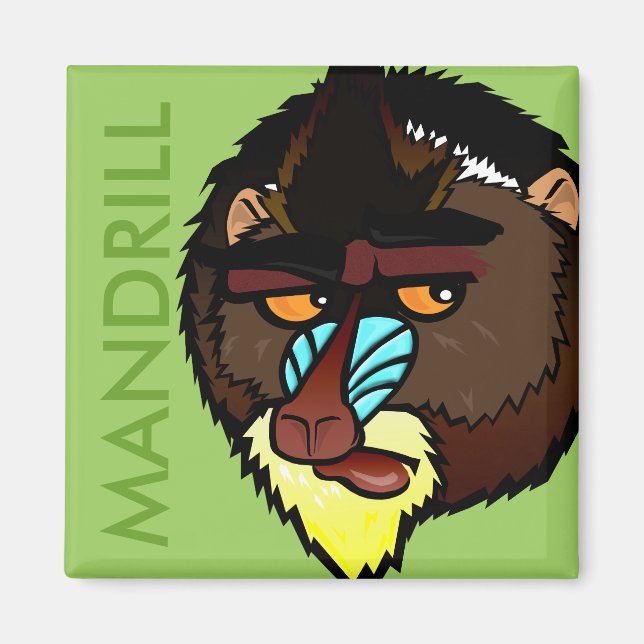 SQUARE MANDRILL MAGNET (Framsidan)