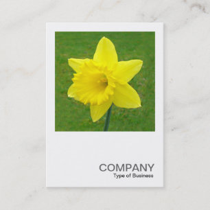 Square Photo 015 - Daffodil Visitkort