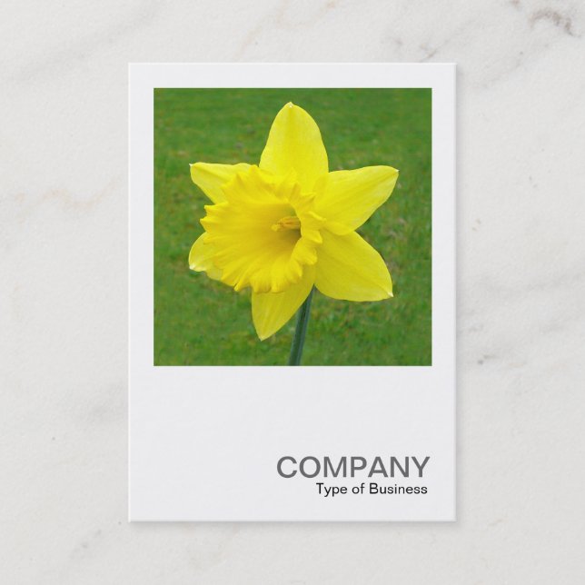 Square Photo 015 - Daffodil Visitkort (Framsida)