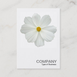 Square Photo 0161 - White Cosmos Flower Visitkort