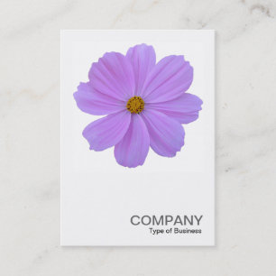 Square Photo 0171 - Lila Cosmos Flower Visitkort
