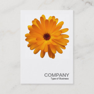 Square Photo 0233 - Orange Marigold Visitkort